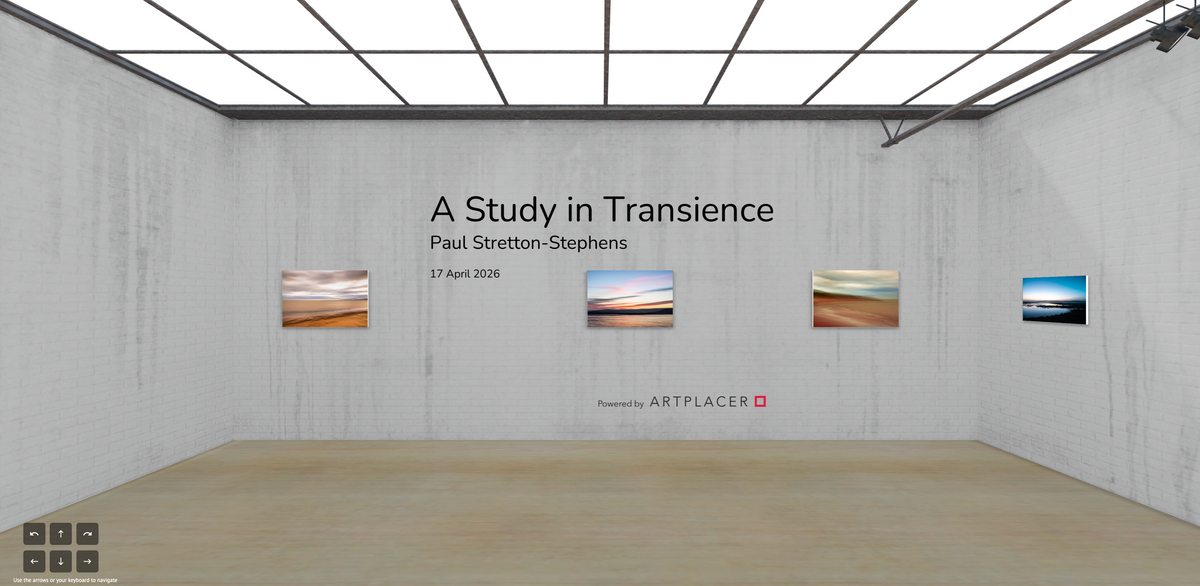 NEW - A Virtual Exhibition  - “A Study in Transience”.